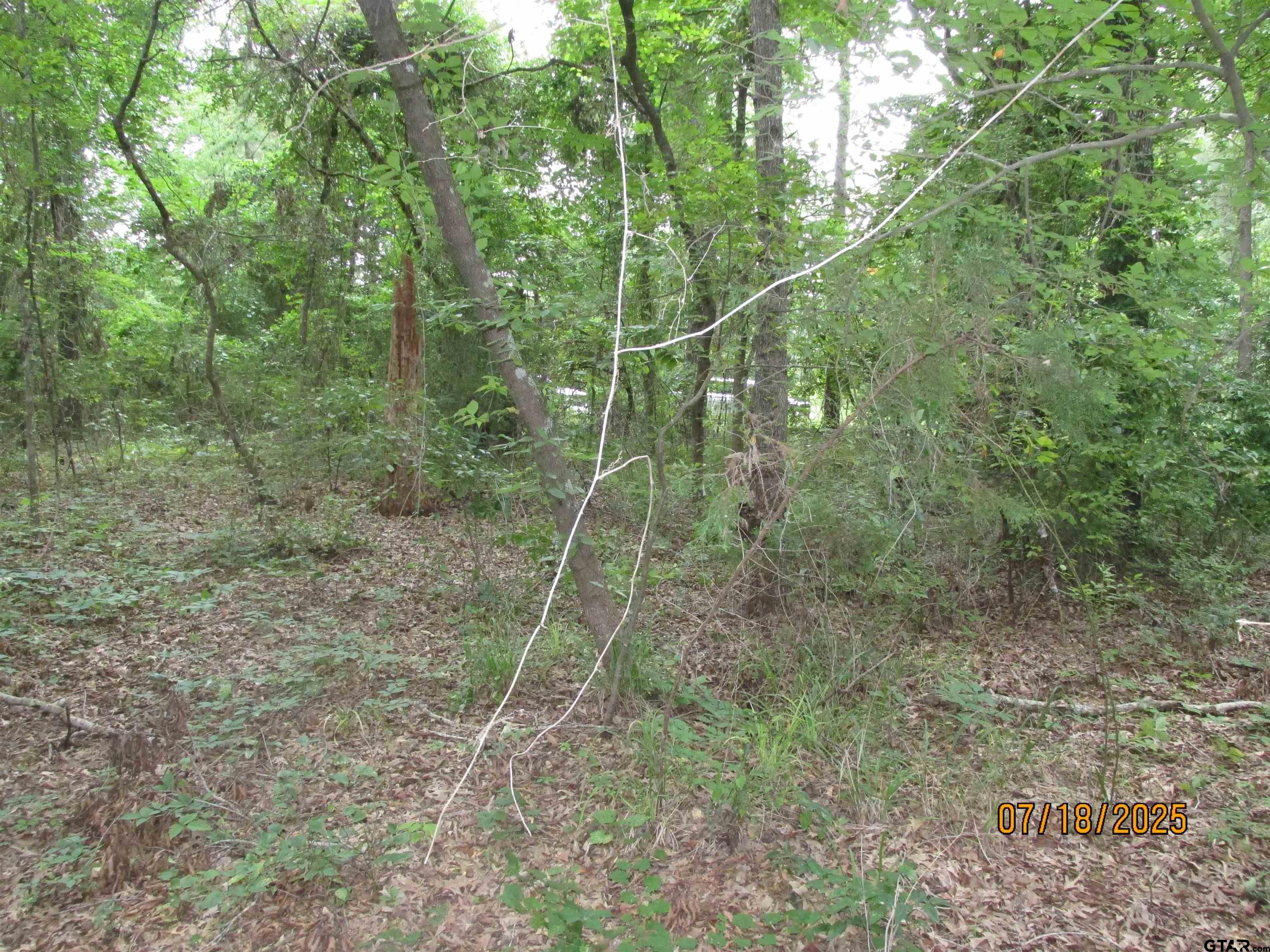 586 Crescent Bullard, TX 75757 - Photo 6 of 7