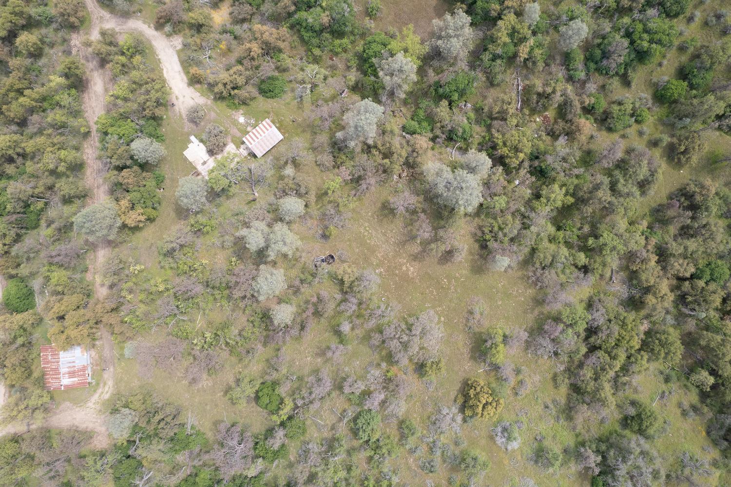 36952 Lodge Road Tollhouse, CA 93667 - Photo 13 of 55 Gallery Image 13