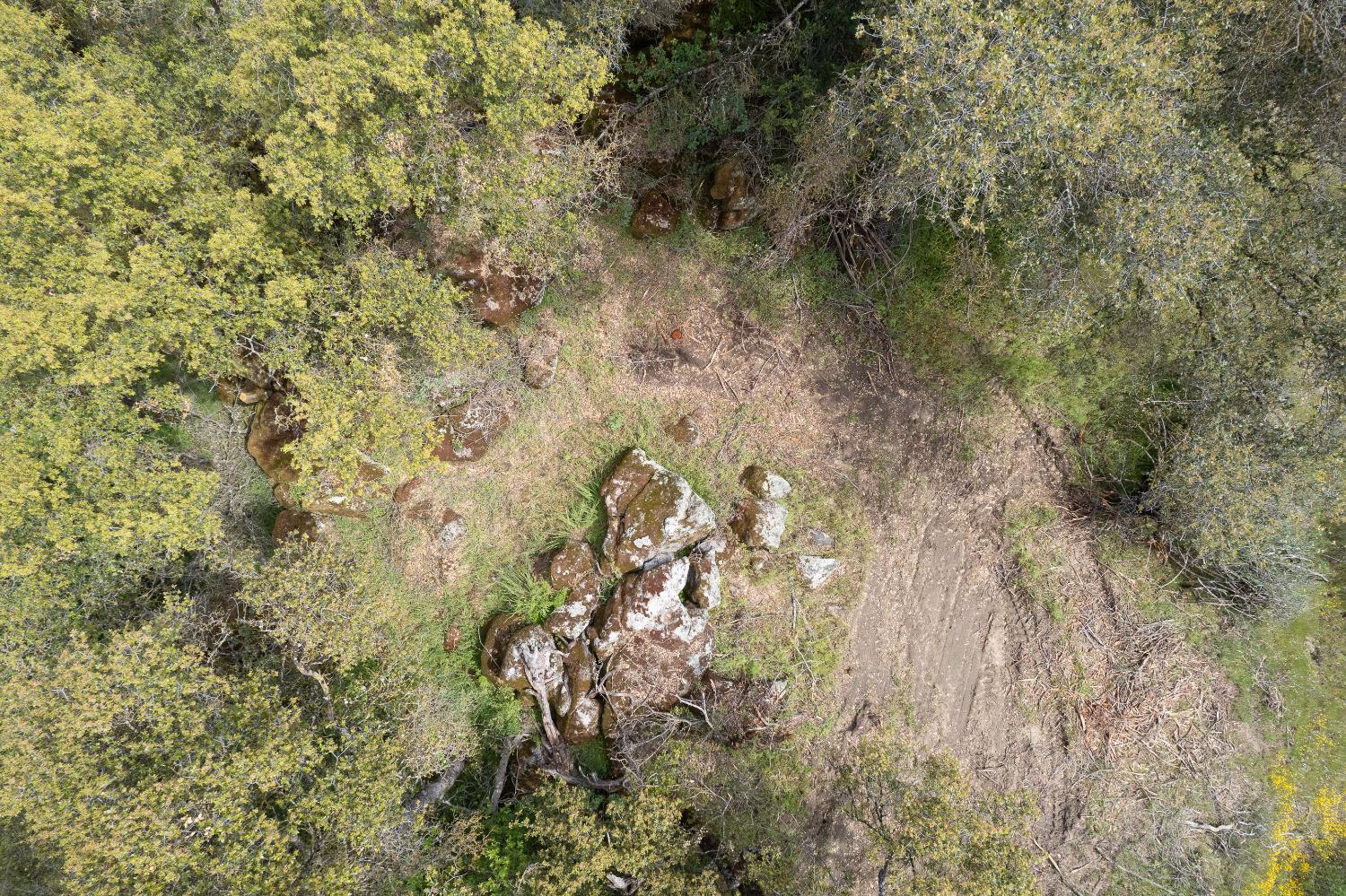 36952 Lodge Road Tollhouse, CA 93667 - Photo 18 of 55 Gallery Image 18