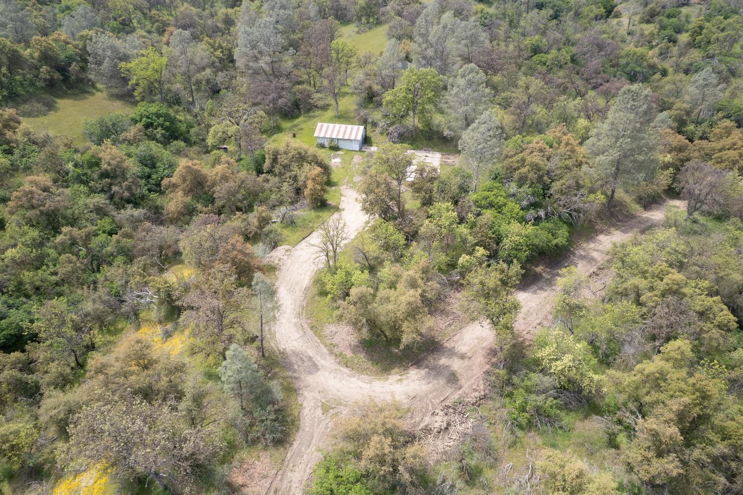36952 Lodge Road Tollhouse, CA 93667 - Photo 47 of 55 Gallery Image 47