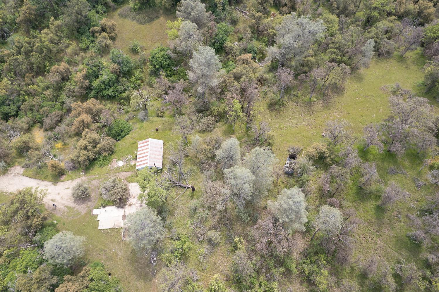 36952 Lodge Road Tollhouse, CA 93667 - Photo 10 of 55 Gallery Image 10