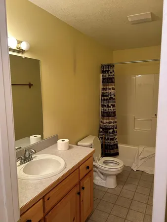 a bathroom with a sink a toilet a shower and a mirror