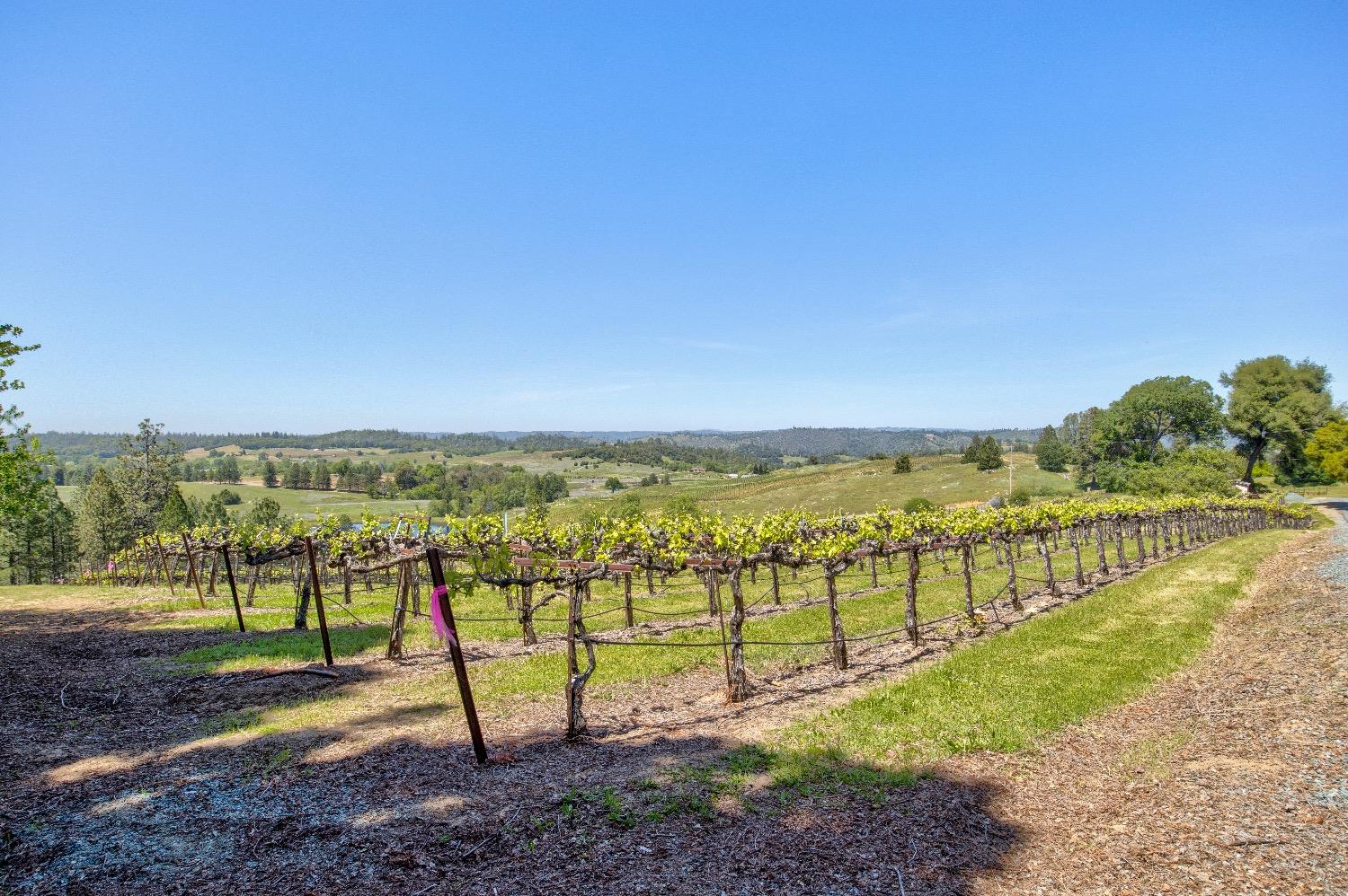13320 Oakstream Road Plymouth, CA 95669 - Photo 61 of 98