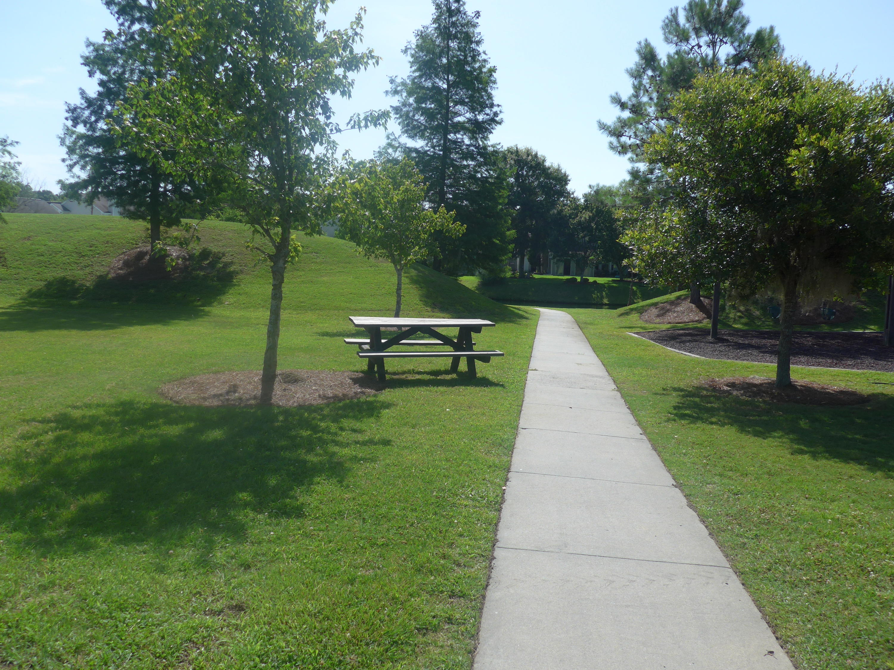 7088 Windmill Creek Road Charleston, SC 29414 - Photo 26 of 32 027