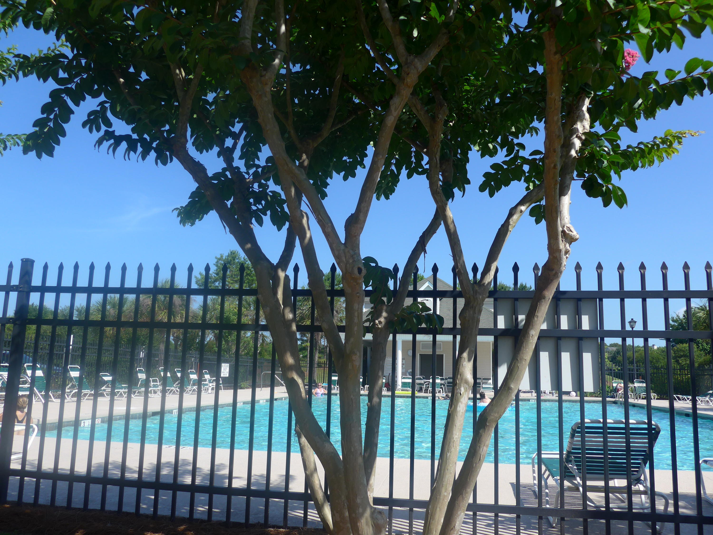 7088 Windmill Creek Road Charleston, SC 29414 - Photo 29 of 32 032