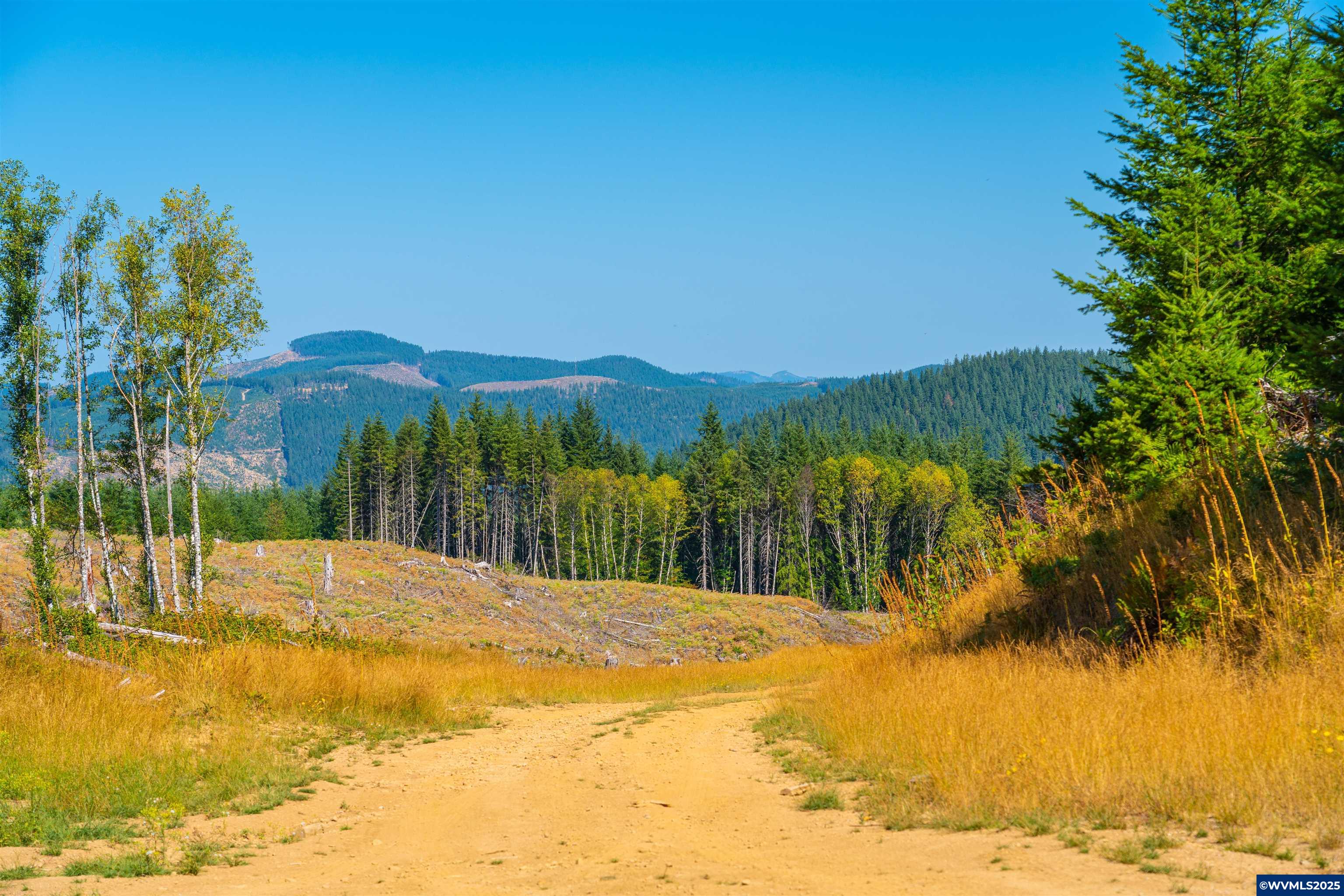 0 Bald Mountain Access Road Willamina, OR 97396 - Photo 29 of 30