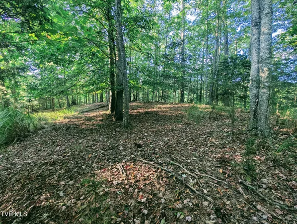 $150,000 | Tbd Blowing Rock Road, Haysi, VA 24256