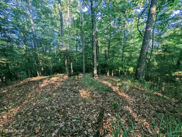 $150,000 | Tbd Blowing Rock Road, Haysi, VA 24256