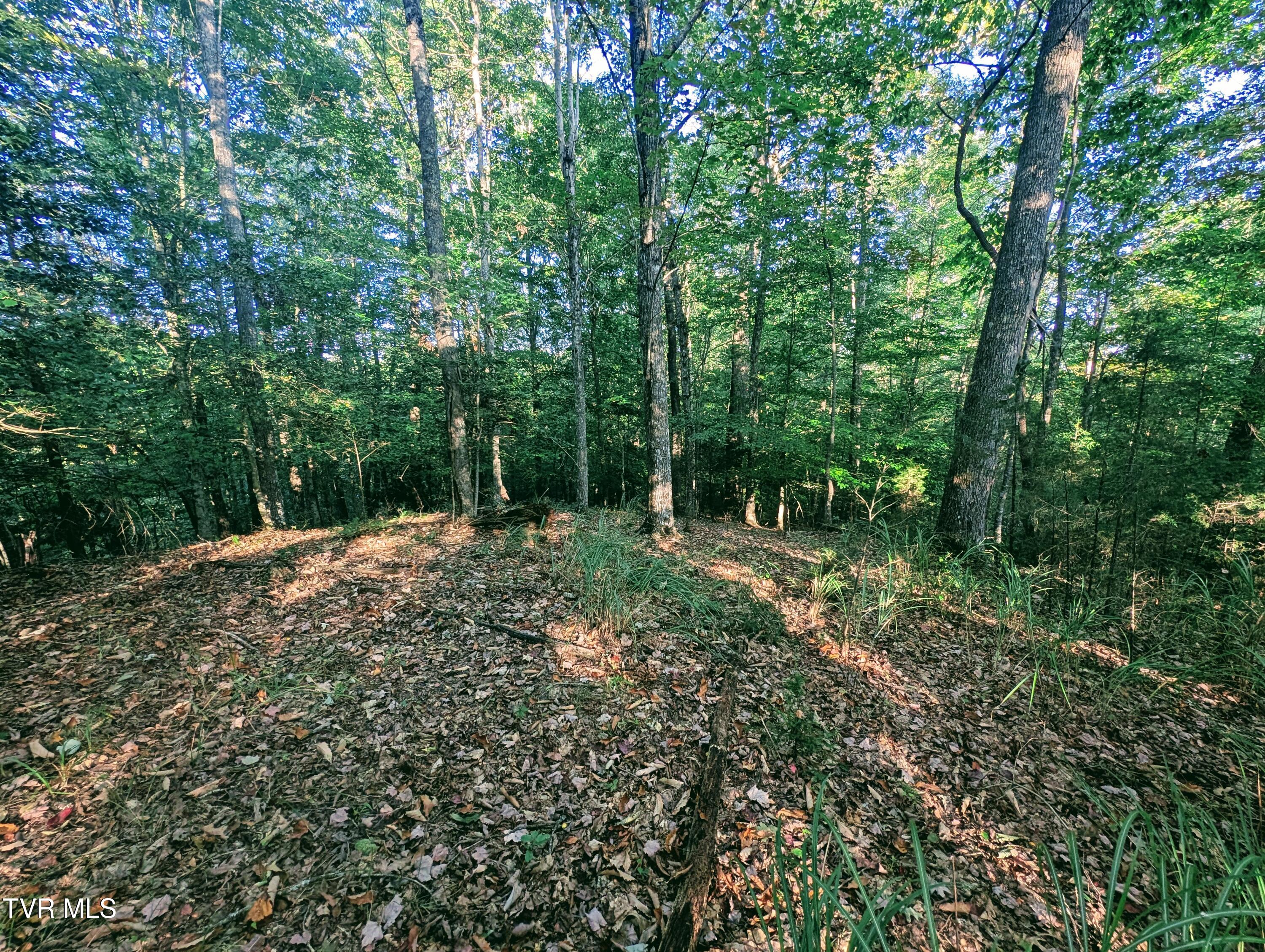 Tbd Blowing Rock Road Haysi, VA 24256 - Photo 2 of 10 1000016034