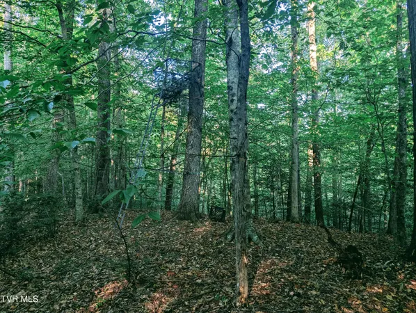 $150,000 | Tbd Blowing Rock Road, Haysi, VA 24256