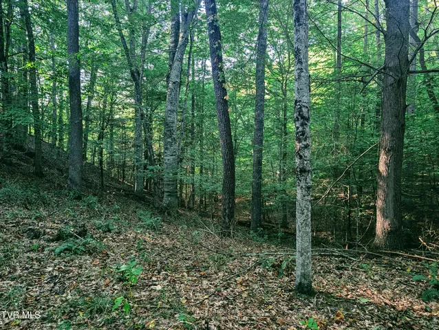 $150,000 | Tbd Blowing Rock Road, Haysi, VA 24256