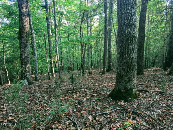 $150,000 | Tbd Blowing Rock Road, Haysi, VA 24256