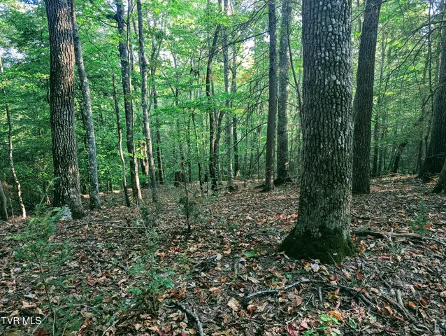 $150,000 | Tbd Blowing Rock Road, Haysi, VA 24256