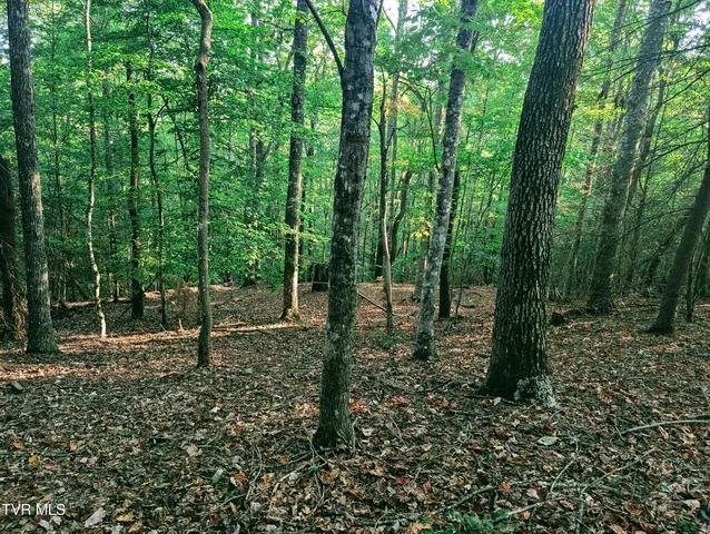 $150,000 | Tbd Blowing Rock Road, Haysi, VA 24256