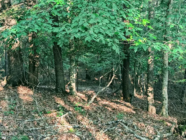 $150,000 | Tbd Blowing Rock Road, Haysi, VA 24256