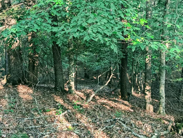 $150,000 | Tbd Blowing Rock Road, Haysi, VA 24256