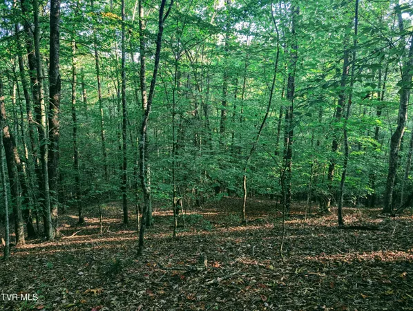 $150,000 | Tbd Blowing Rock Road, Haysi, VA 24256