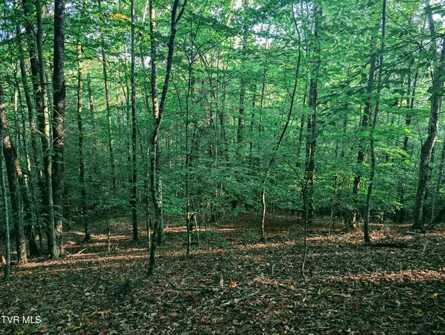 $150,000 | Tbd Blowing Rock Road, Haysi, VA 24256