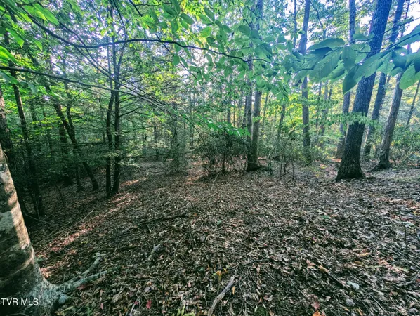$150,000 | Tbd Blowing Rock Road, Haysi, VA 24256