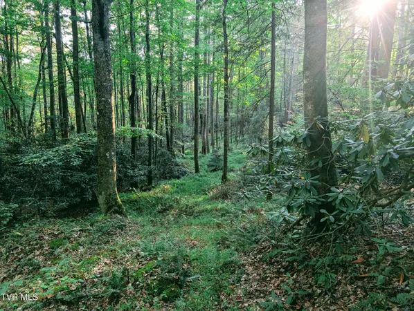 $150,000 | Tbd Blowing Rock Road, Haysi, VA 24256