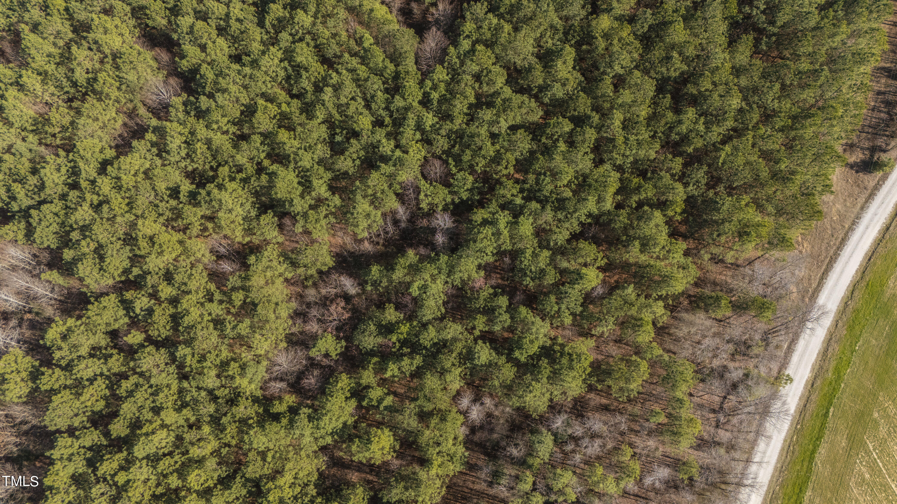660 Joe Denton Road Louisburg, NC 27549 - Photo 7 of 12 Joe Denton Road Luisburg_JRKnowles_Photo