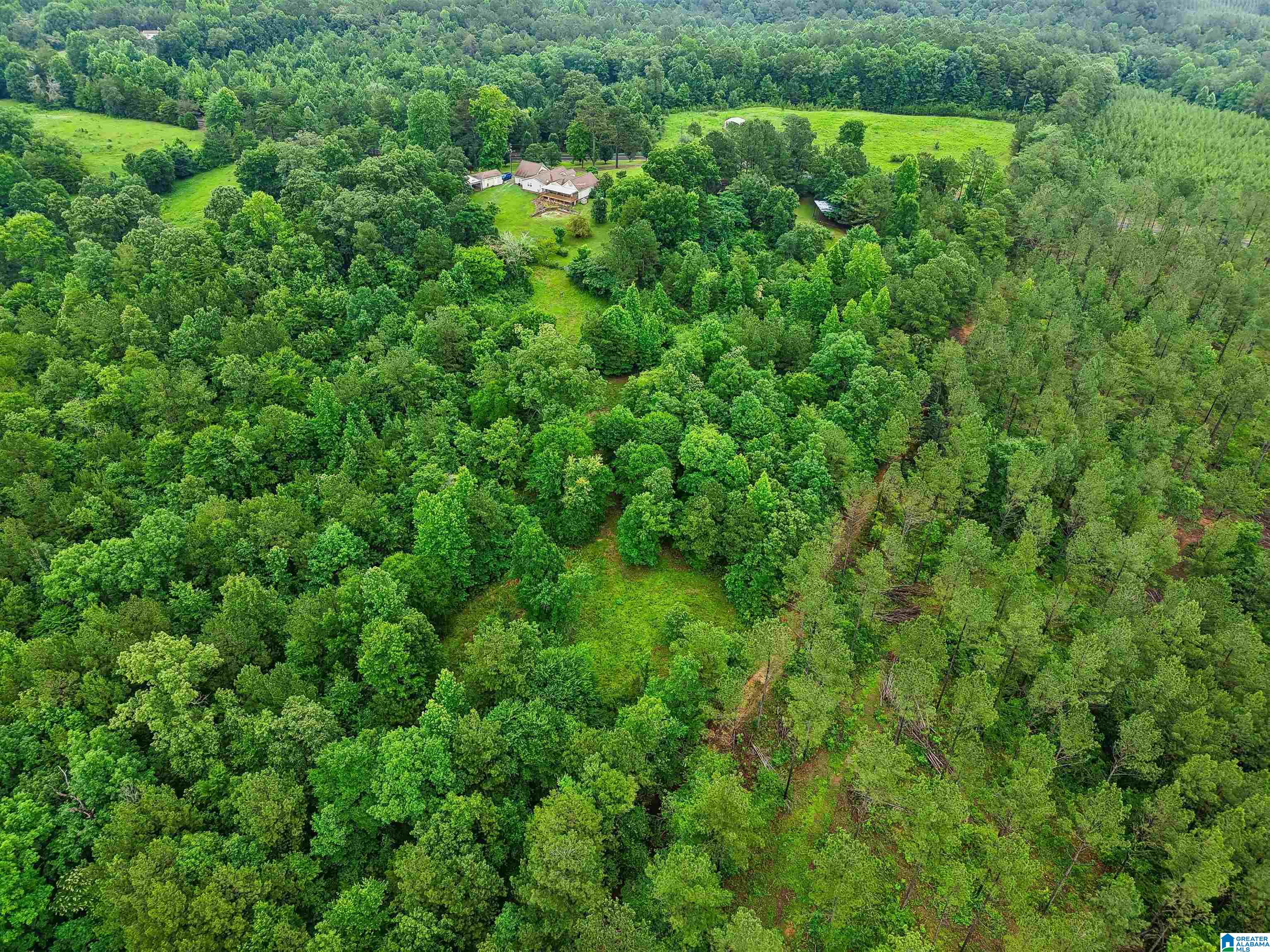 2919 Old Pineywoods Road Jasper, AL 35504 - Photo 20 of 56
