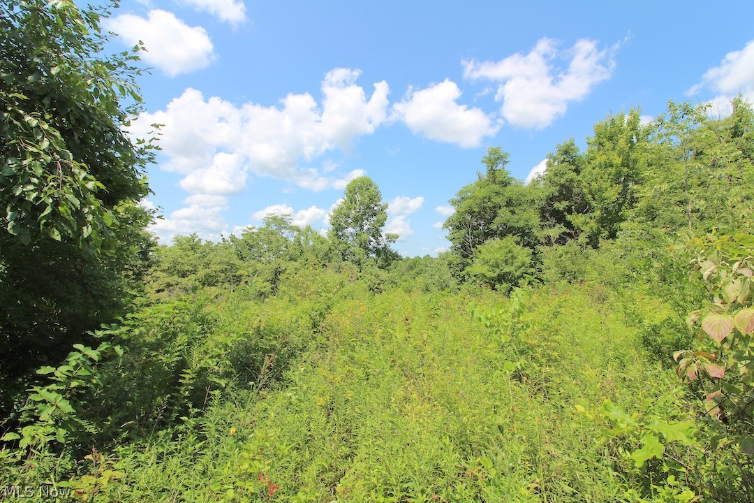 Union Hill Road Blue Rock, OH 43720 - Photo 11 of 35