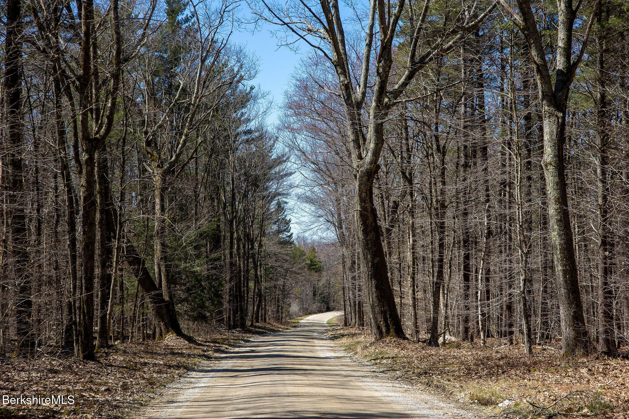 Lot #19 Stratford Road Southfield, MA 01259 - Photo 5 of 11 a view of a house next to a yard with large trees