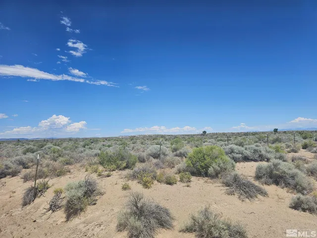 a view of a dry yard with wooden fence