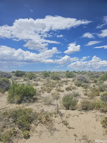 a view of a bunch of trees in middle of a field