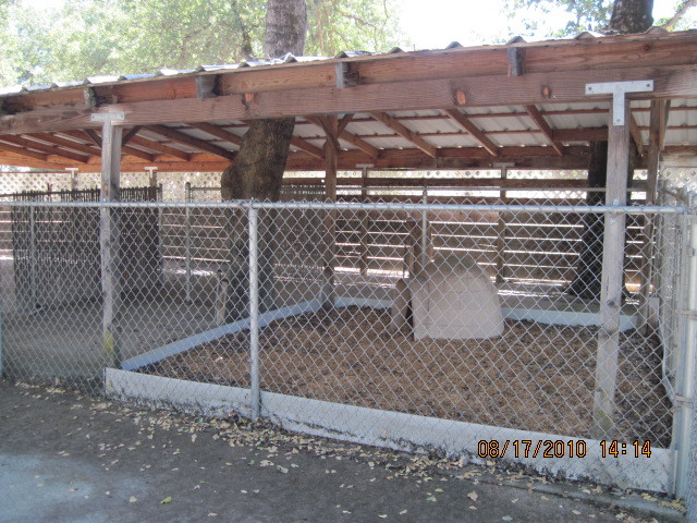 8471 Maynard Road Palo Cedro, CA 96073 - Photo 8 of 20 barn