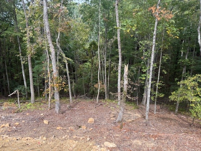 23 Peck Peak Road Jefferson, NC 28640 - Photo 19 of 22 Gallery Image 19