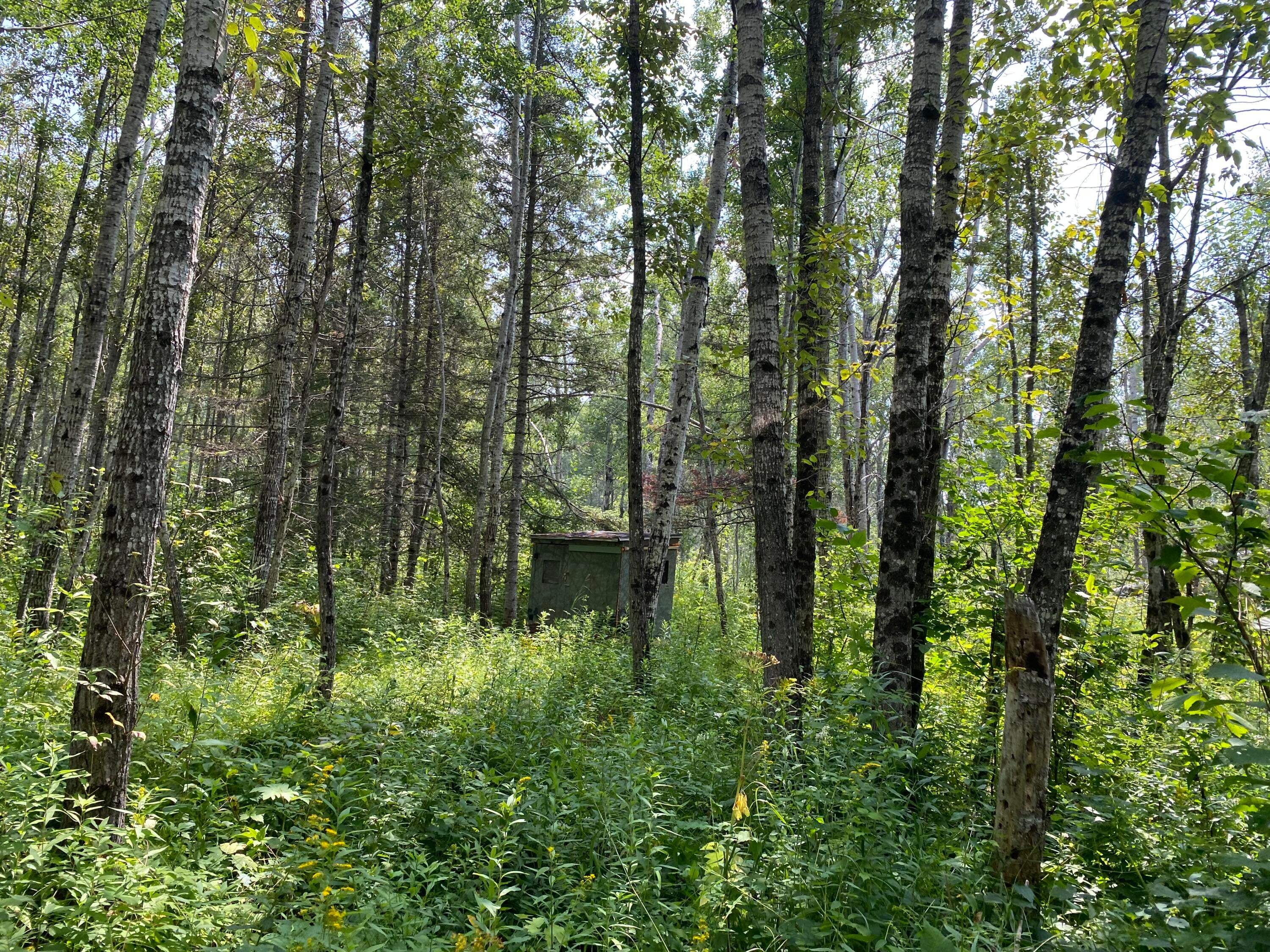 20 20 Mile Road Dafter, MI 49724 - Photo 8 of 17 Gallery Image 8