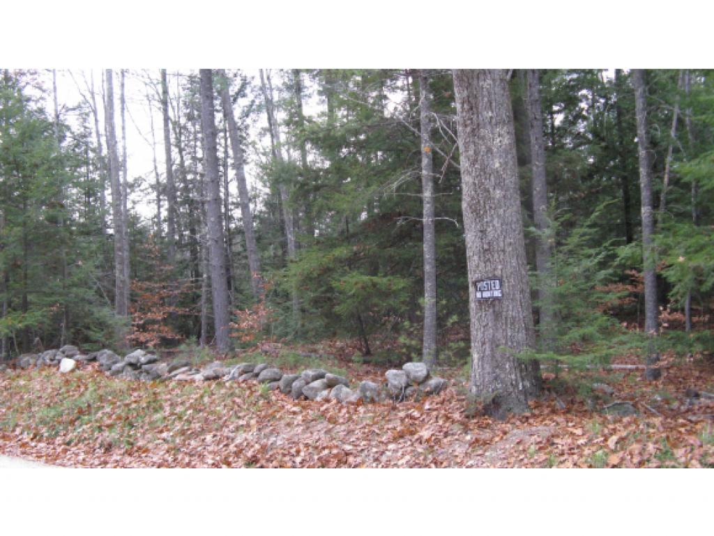 Lot 56 Colbath Road Center Barnstead, NH 03225 - Photo 2 of 6