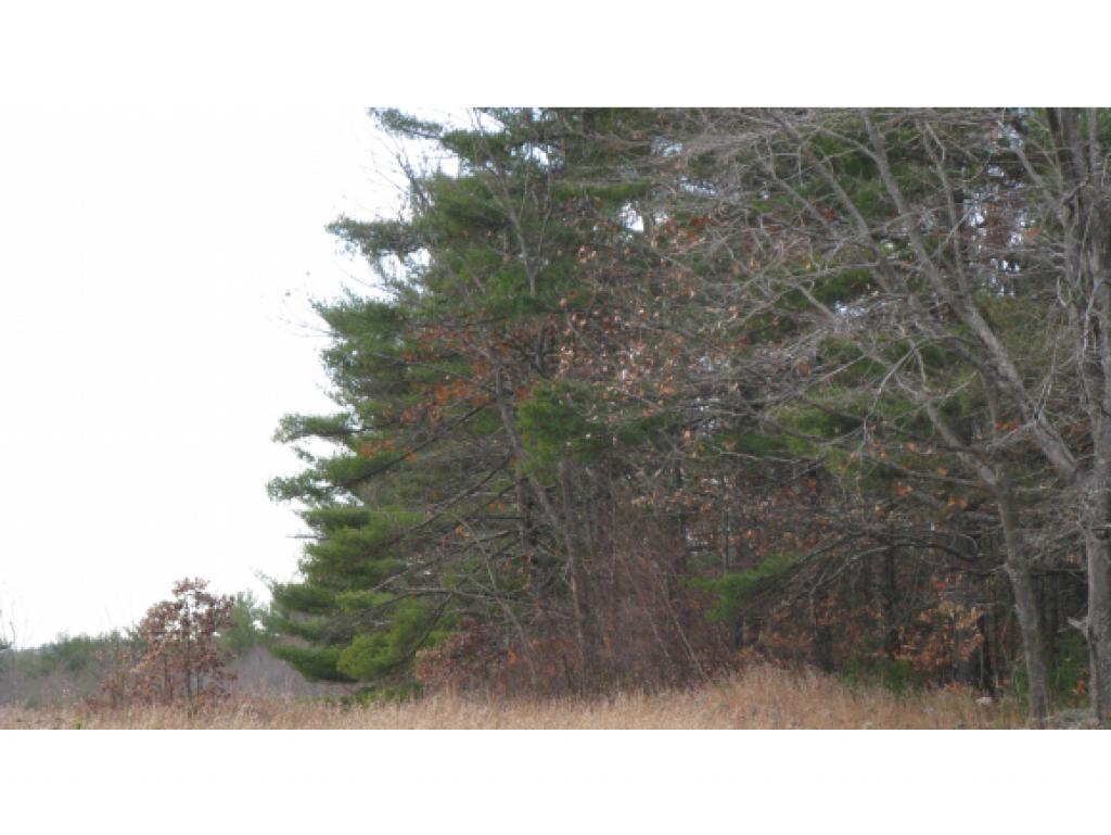 Lot 56 Colbath Road Center Barnstead, NH 03225 - Photo 4 of 6