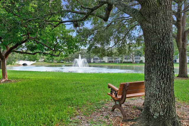 a view of a garden with plants and a bench