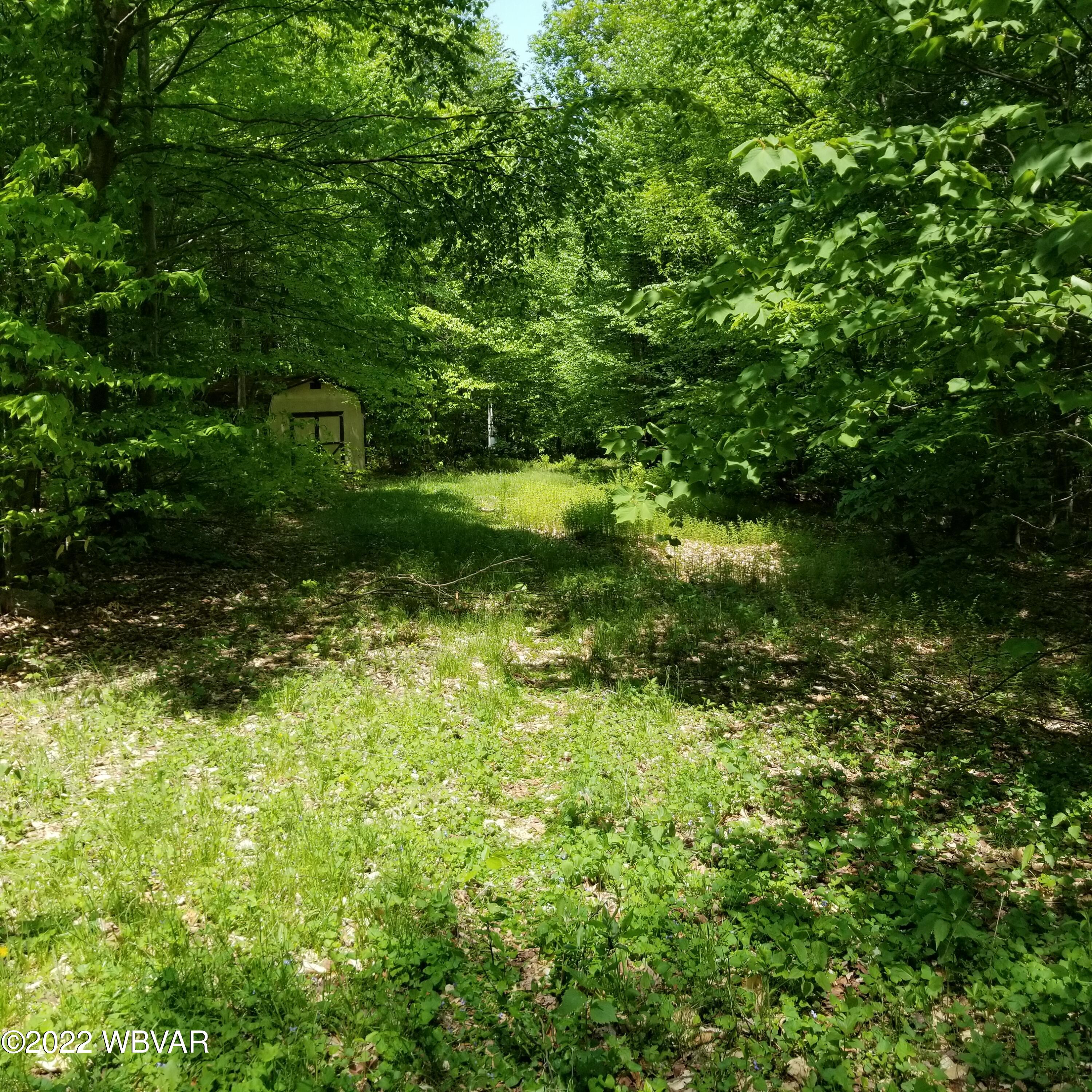 864 Junks Pond Road New Albany, PA 18833 - Photo 6 of 12 Gallery Image 6