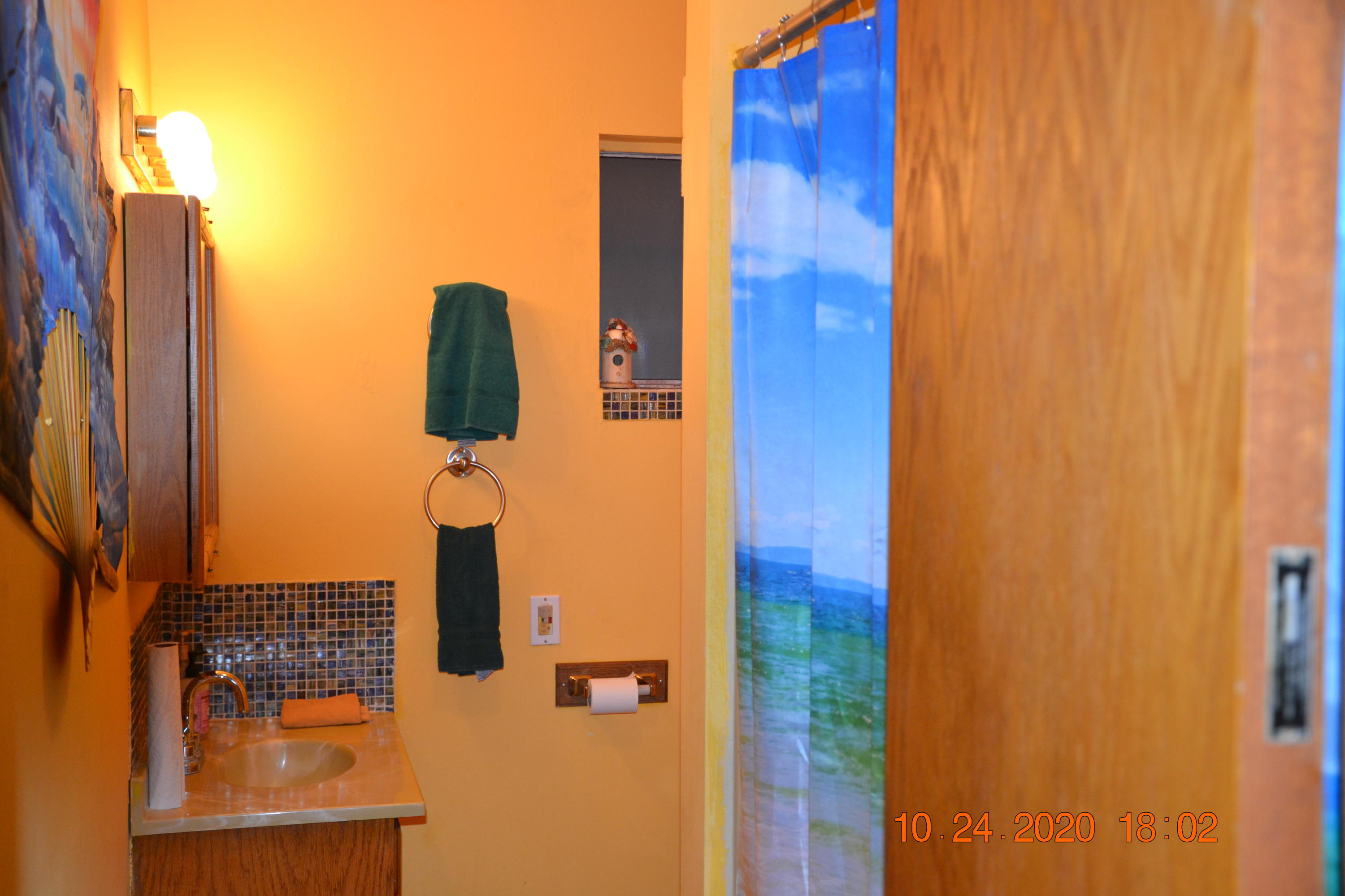 15567 Water Gap Road Williams, OR 97544 - Photo 14 of 36 Bathroom