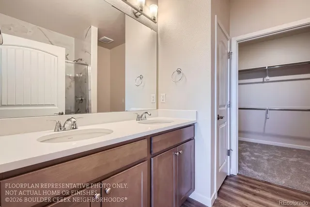 a bathroom with a sink a mirror and a shower