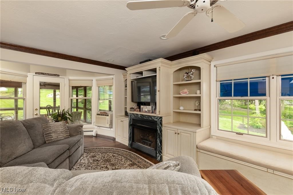 644 Riverside Drive Painesville, OH 44077 - Photo 13 of 48 Living room featuring dark wood-style flooring, cooling unit, a high end fireplace, ornamental molding, and a baseboard radiator