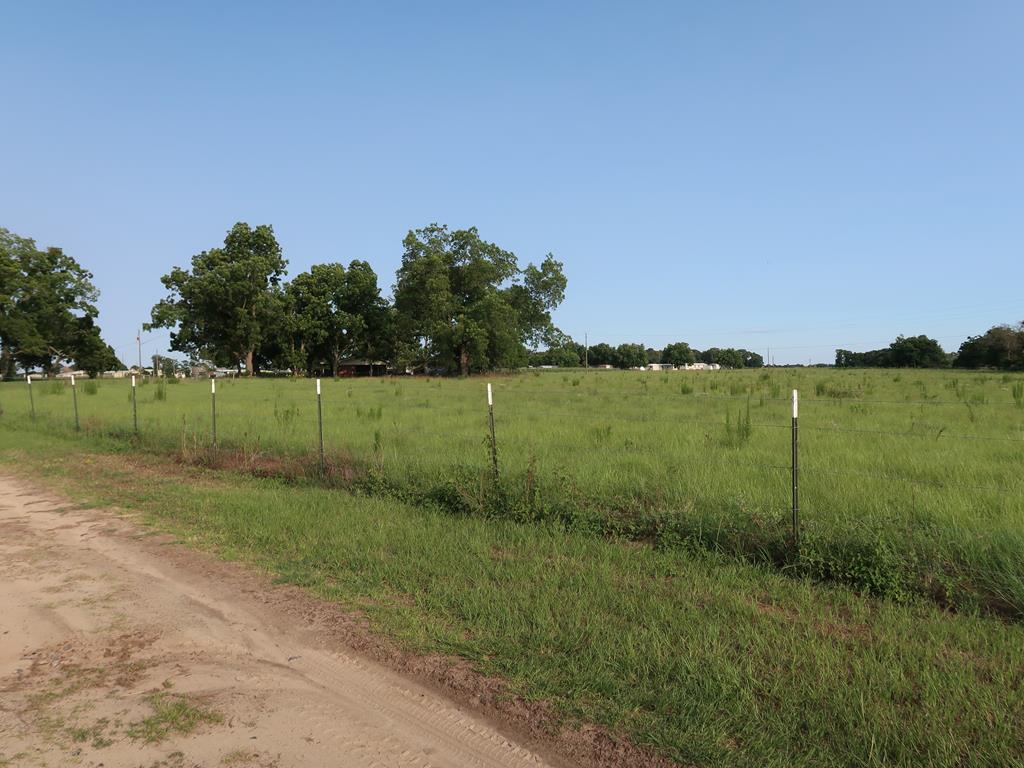 0 East Columbia Road Newville, AL 36353 - Photo 3 of 15