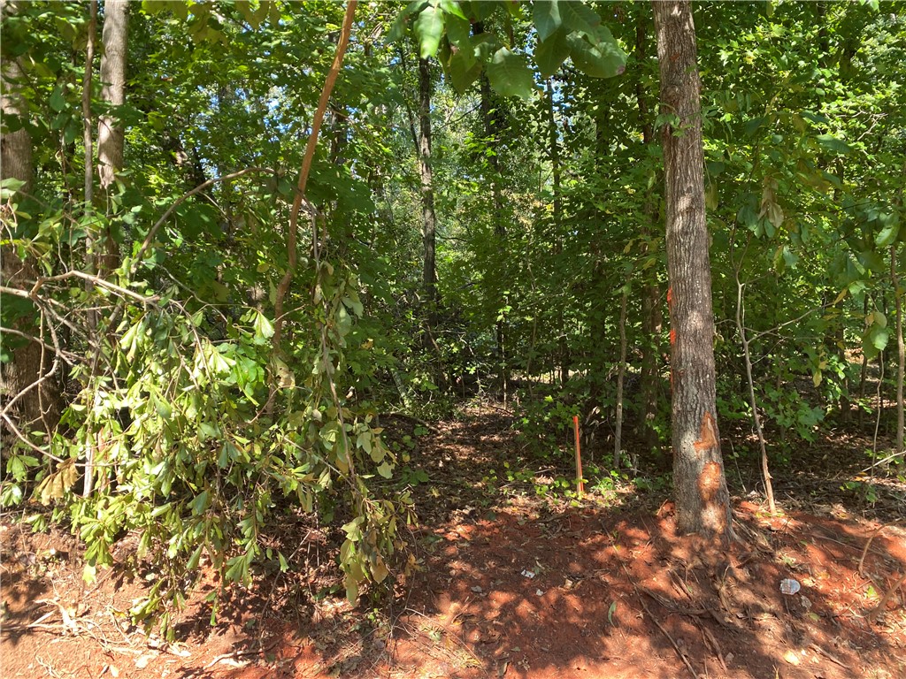 0 Guest Circle Anderson, SC 29621 - Photo 5 of 6 Mature trees frame a peaceful, natural landscape offering incredible privacy.
