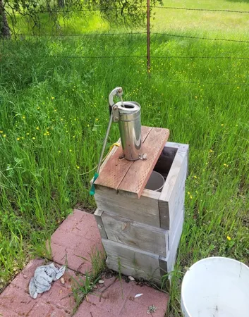 a view of a backyard with fountain plants and large tree