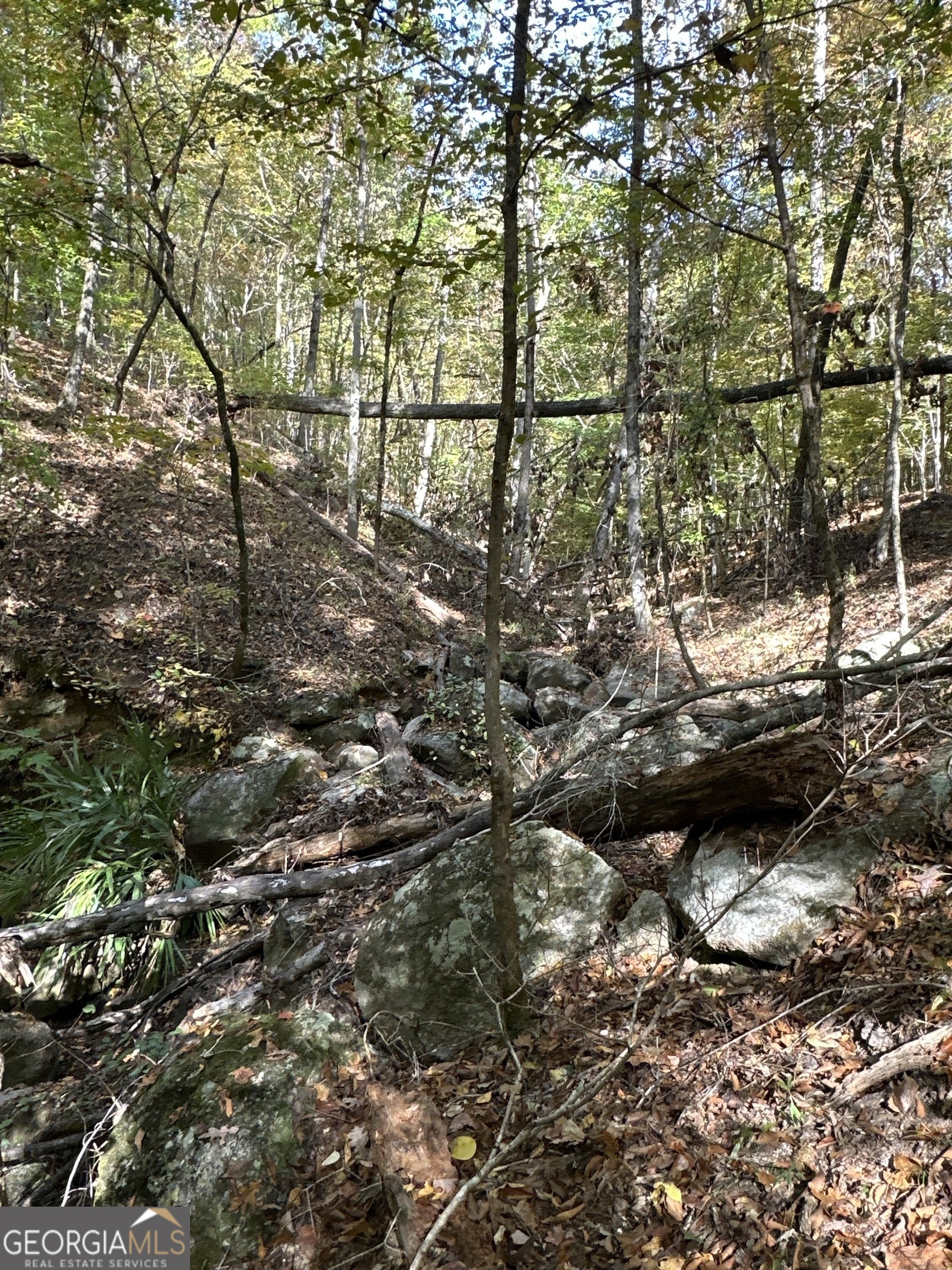 0 Dennis Creek Road Talbotton, GA 31827 - Photo 11 of 24