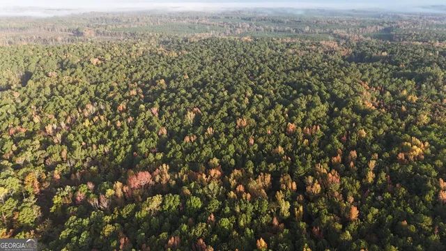 $404,389 | 0 Dennis Creek Road, Talbotton, GA 31827