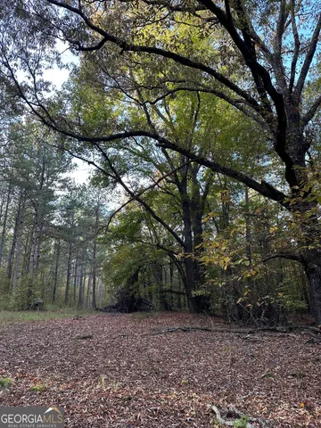 $404,389 | 0 Dennis Creek Road, Talbotton, GA 31827