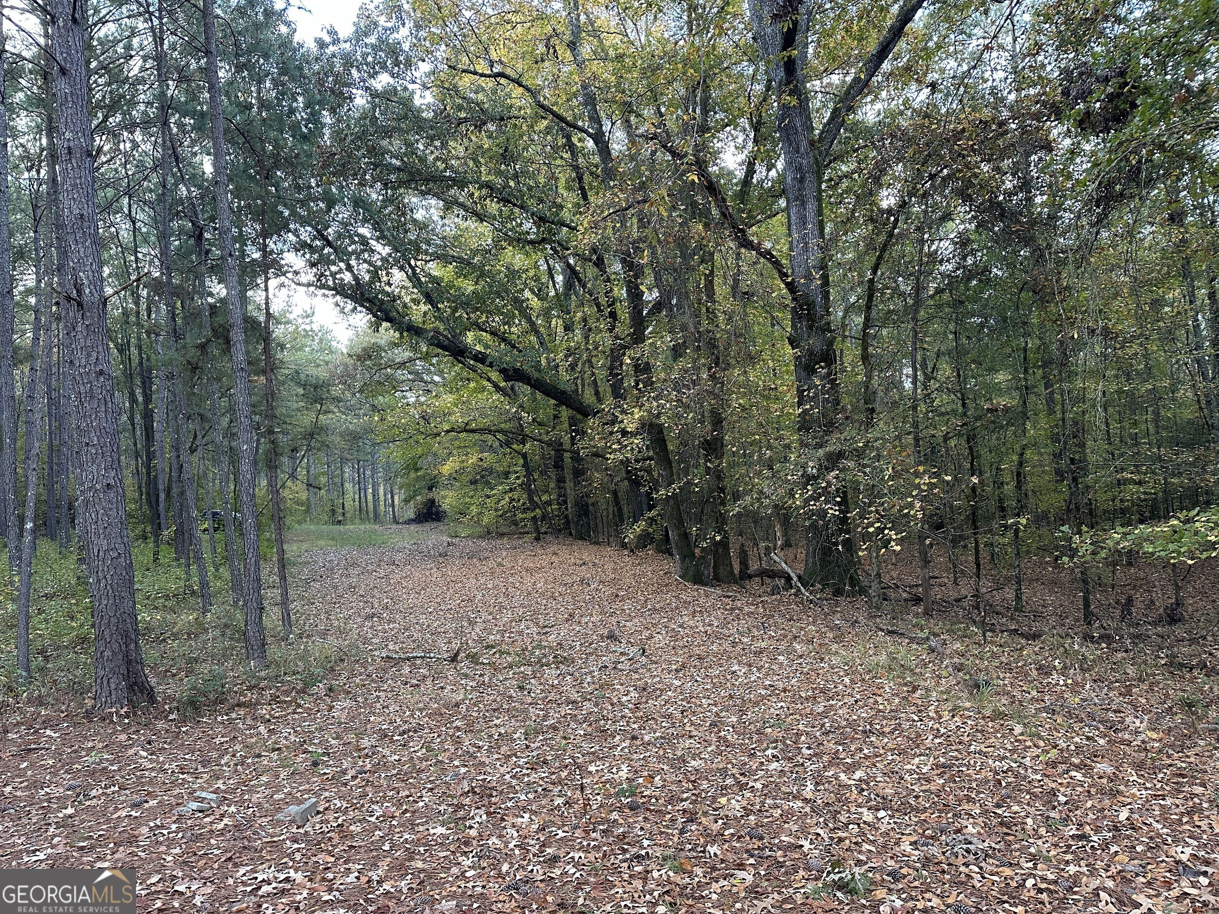 0 Dennis Creek Road Talbotton, GA 31827 - Photo 15 of 24