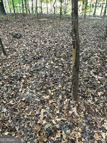 $404,389 | 0 Dennis Creek Road, Talbotton, GA 31827