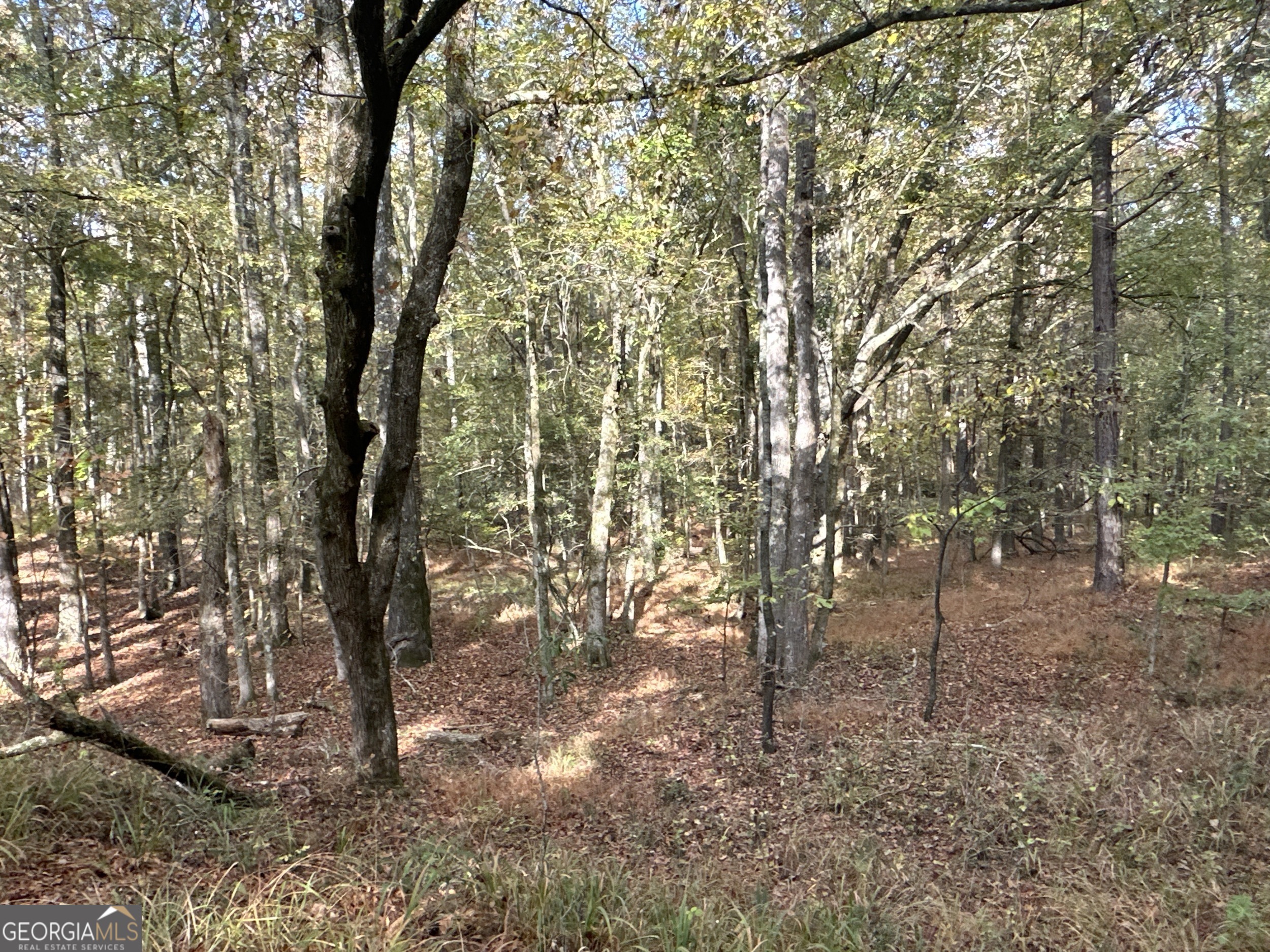 0 Dennis Creek Road Talbotton, GA 31827 - Photo 21 of 24