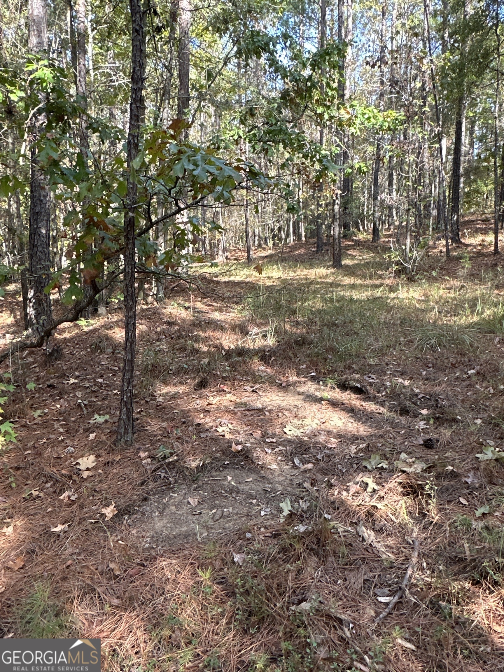 0 Dennis Creek Road Talbotton, GA 31827 - Photo 24 of 24